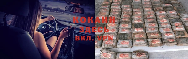 стафф Нефтегорск