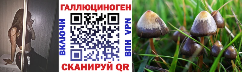 Псилоцибиновые грибы Psilocybe  где найти наркотики  Великий Устюг 